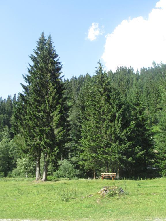 Schwarzenbacher Lungötz Rom bilde