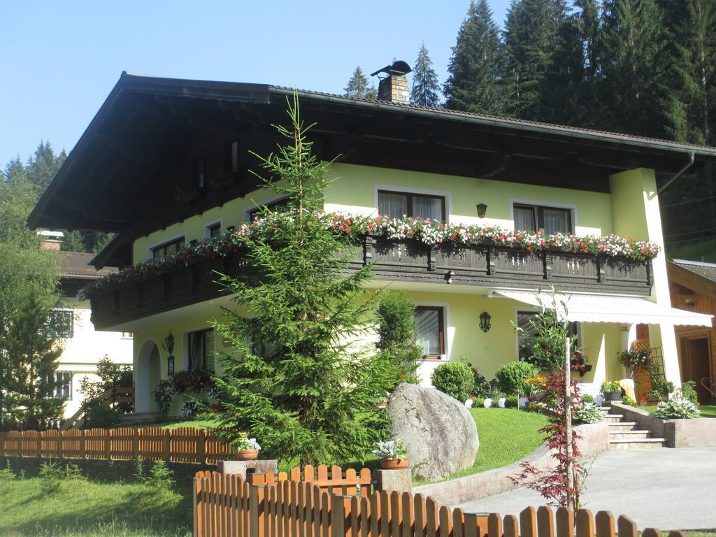 Schwarzenbacher Lungötz Rom bilde