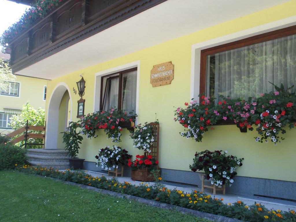 Schwarzenbacher Lungötz Rom bilde