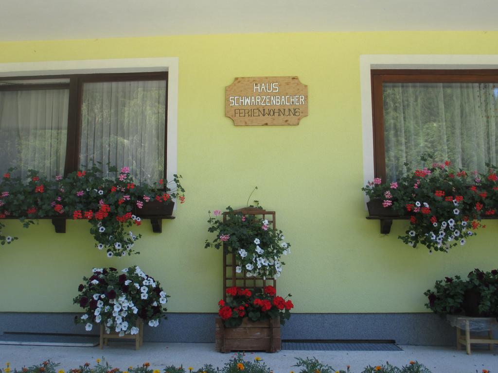 Schwarzenbacher Lungötz Rom bilde