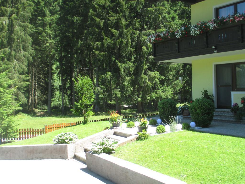 Schwarzenbacher Lungötz Rom bilde