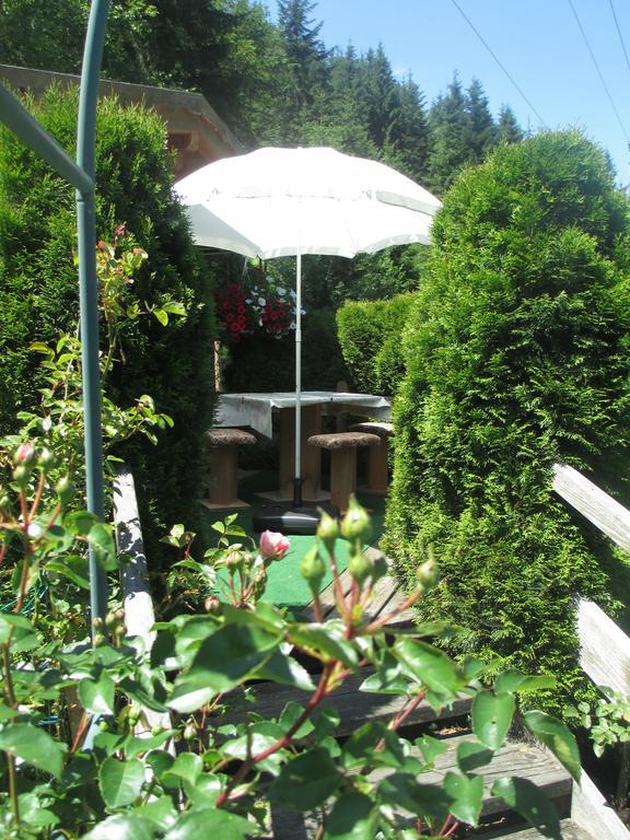 Schwarzenbacher Lungötz Rom bilde