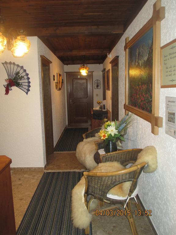 Schwarzenbacher Lungötz Rom bilde